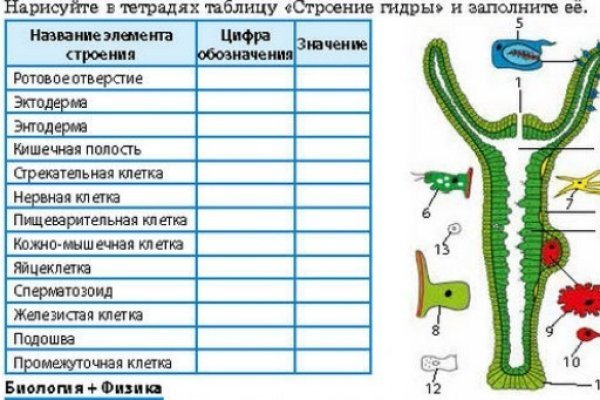 Ссылка омг тг канал зеркало